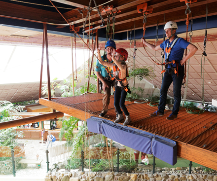 Zip Wire